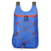 Travel Lightweight Folding Bag