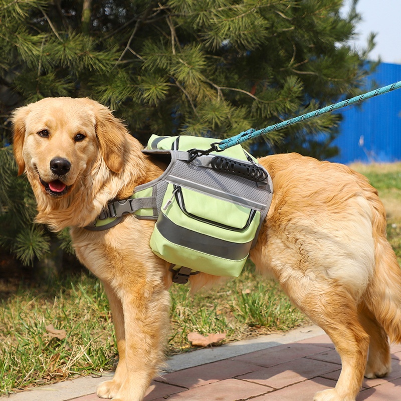 Premium Pet Backpack for Medium to Large Dogs