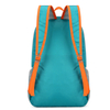 Lightweight Foldable Backpack