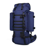 New Style Custom Fashion sports Hiking Backpack Trekking Rucksack Outdoor